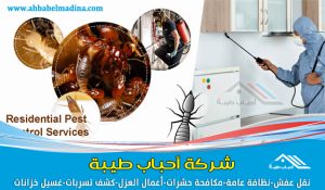 شركة مكافحة حشرات بالقنفذة & وأفضل شركة رش مبيدات بالليث