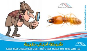 مكافحة النمل الابيض بالاحساء والمنطقة الشرقية عن طريق أفضل شركة رش مبيدات