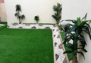 شركة- تنسيق- حدائق -بجازان