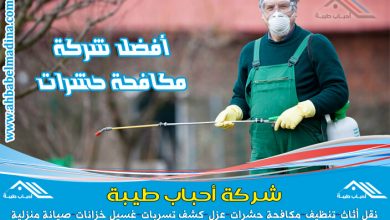 شركة رش مبيدات بالاحساء للقضاء على الحشرات تستخدم أقوى المبيدات الفتاكة لتخلصكم من الحشرات