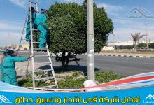 عامل قص الاشجار جدة & وافضل شركة ازالة اشجار في جده وتهذيب الأشجار وإزالة الأوراق الزائدة