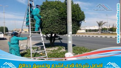عامل قص الاشجار جدة & وافضل شركة ازالة اشجار في جده وتهذيب الأشجار وإزالة الأوراق الزائدة