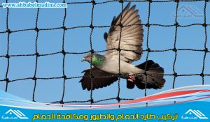 تركيب شبك طارد الحمام بالمدينة المنورة وتقديم احدث طرق مكافحة الحمام بالمدينة المنورة